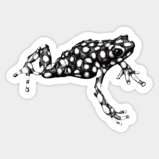 Maranon poison frog illustration Sticker